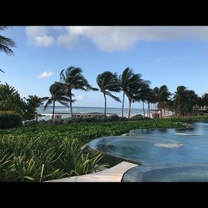 Meet your Posher, Theresa